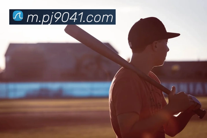 企业概况
